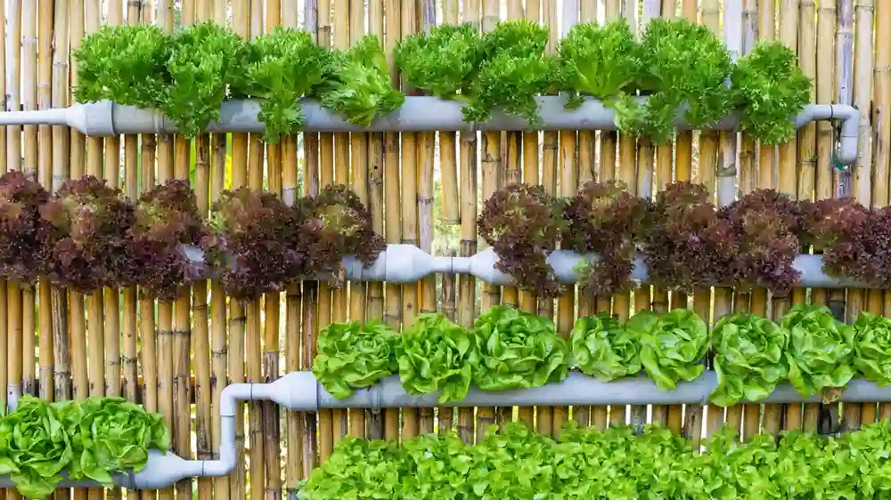 How to Construct a Vertical Garden in Small Spaces